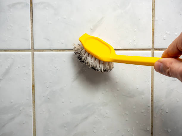 Best Attic Mold Removal  in Breese, IL