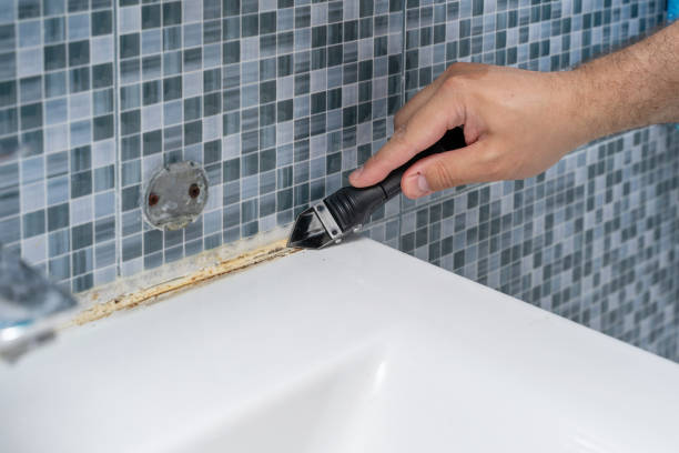 Best Mold Damage Repair  in Breese, IL